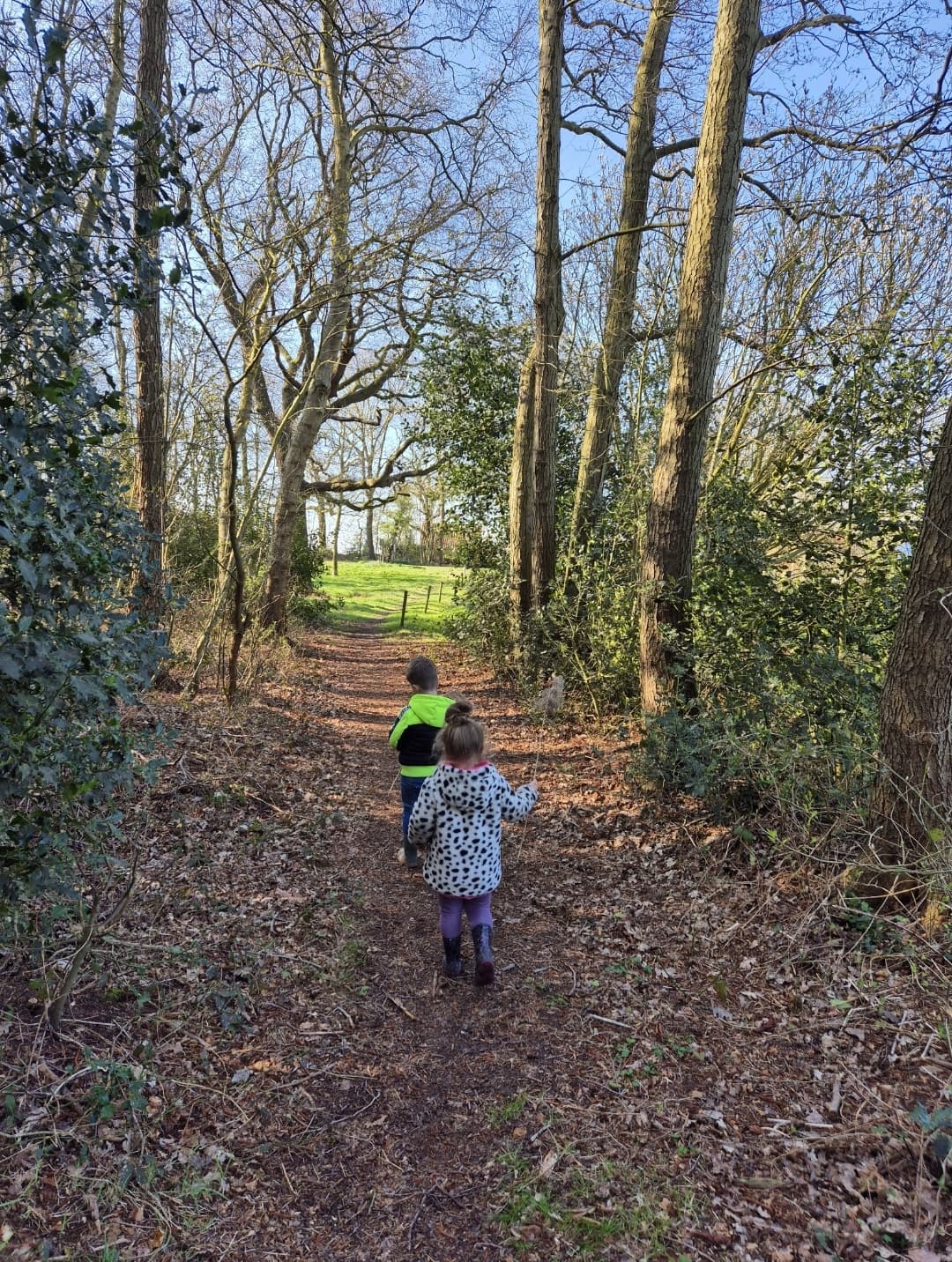 Foto lopen door het bos Nijemirdum (1)